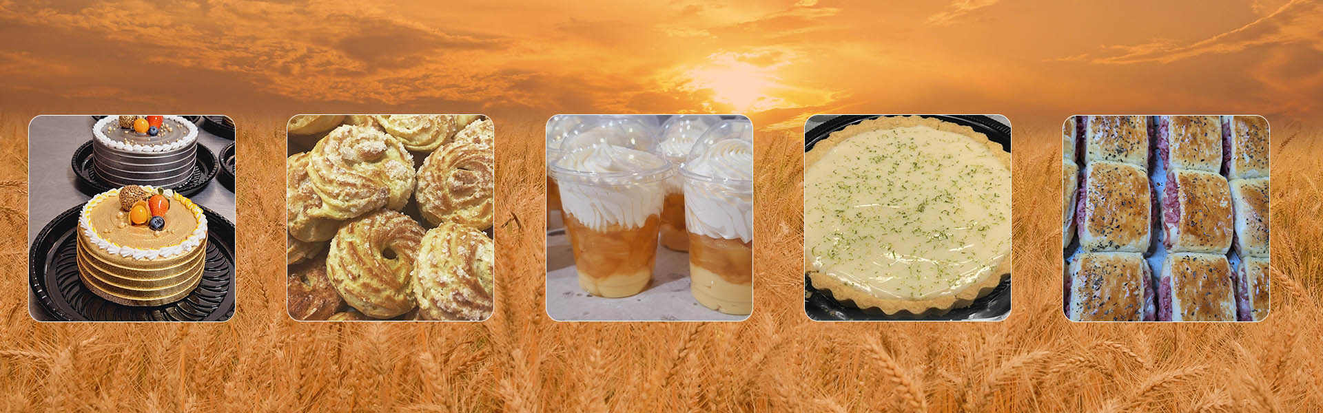 Banner_0002_Agrupar 4