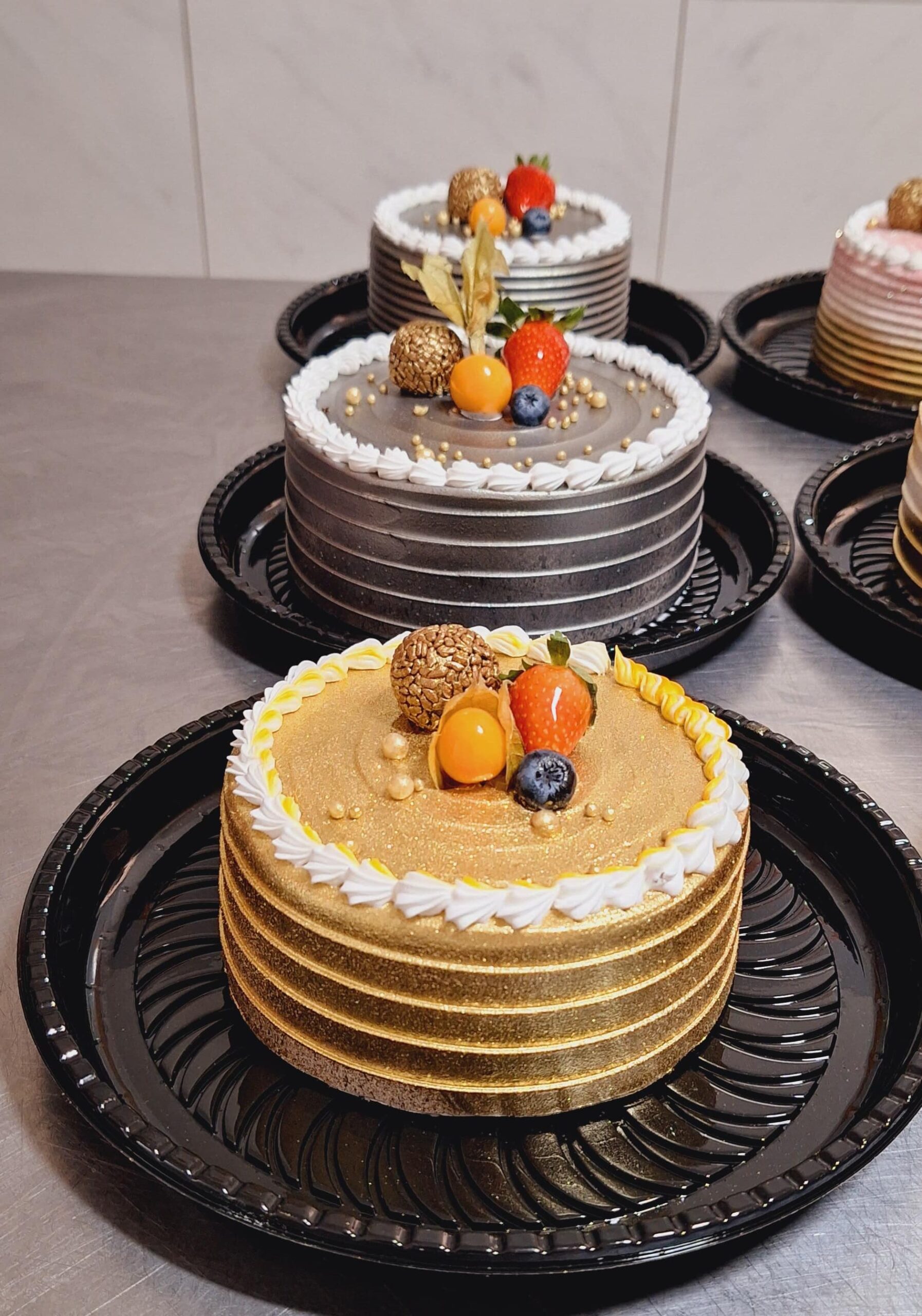 WhatsApp Image 2024-01-31 at 14.09.28