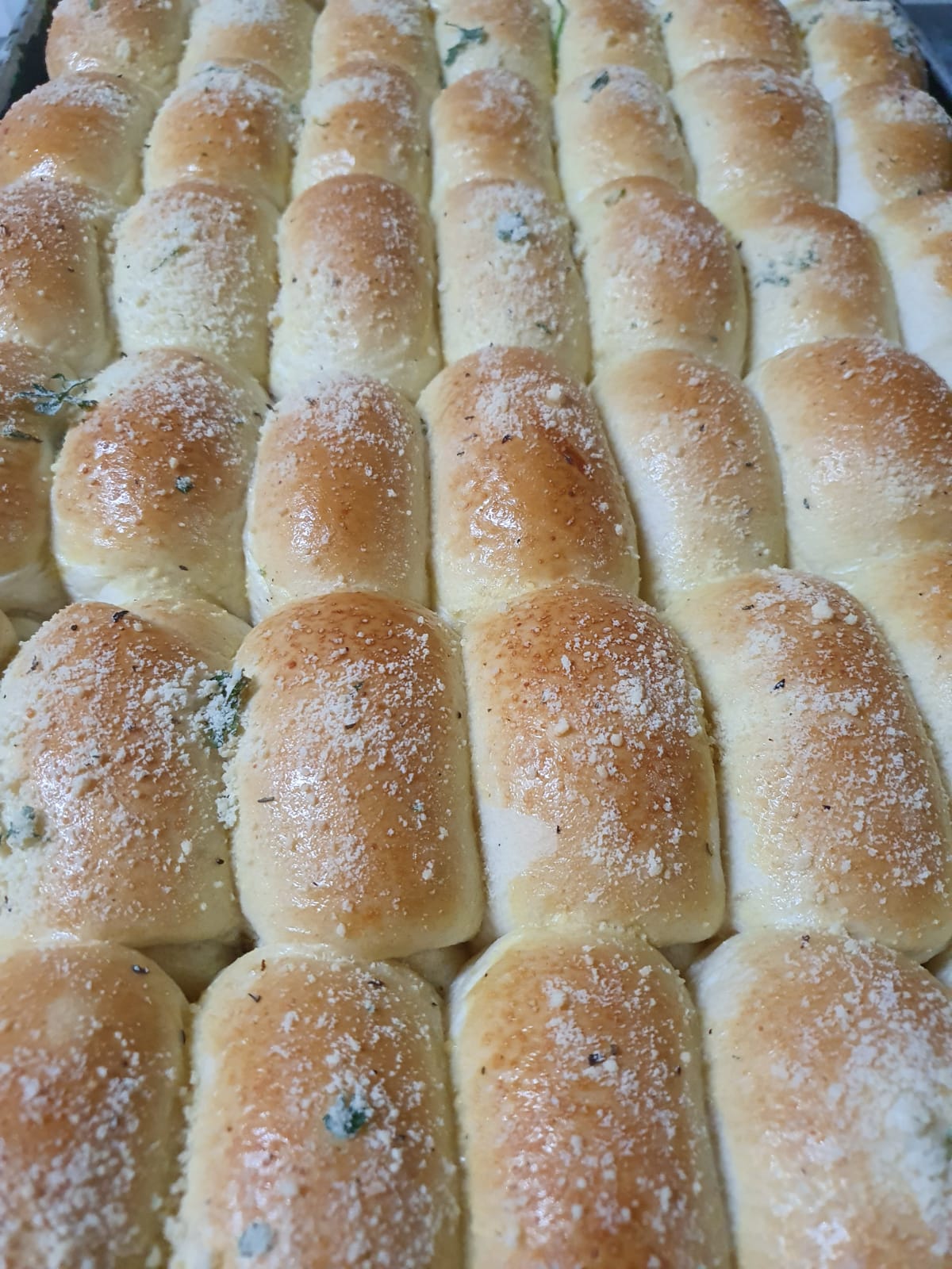 WhatsApp Image 2024-02-06 at 13.04.04 (1)