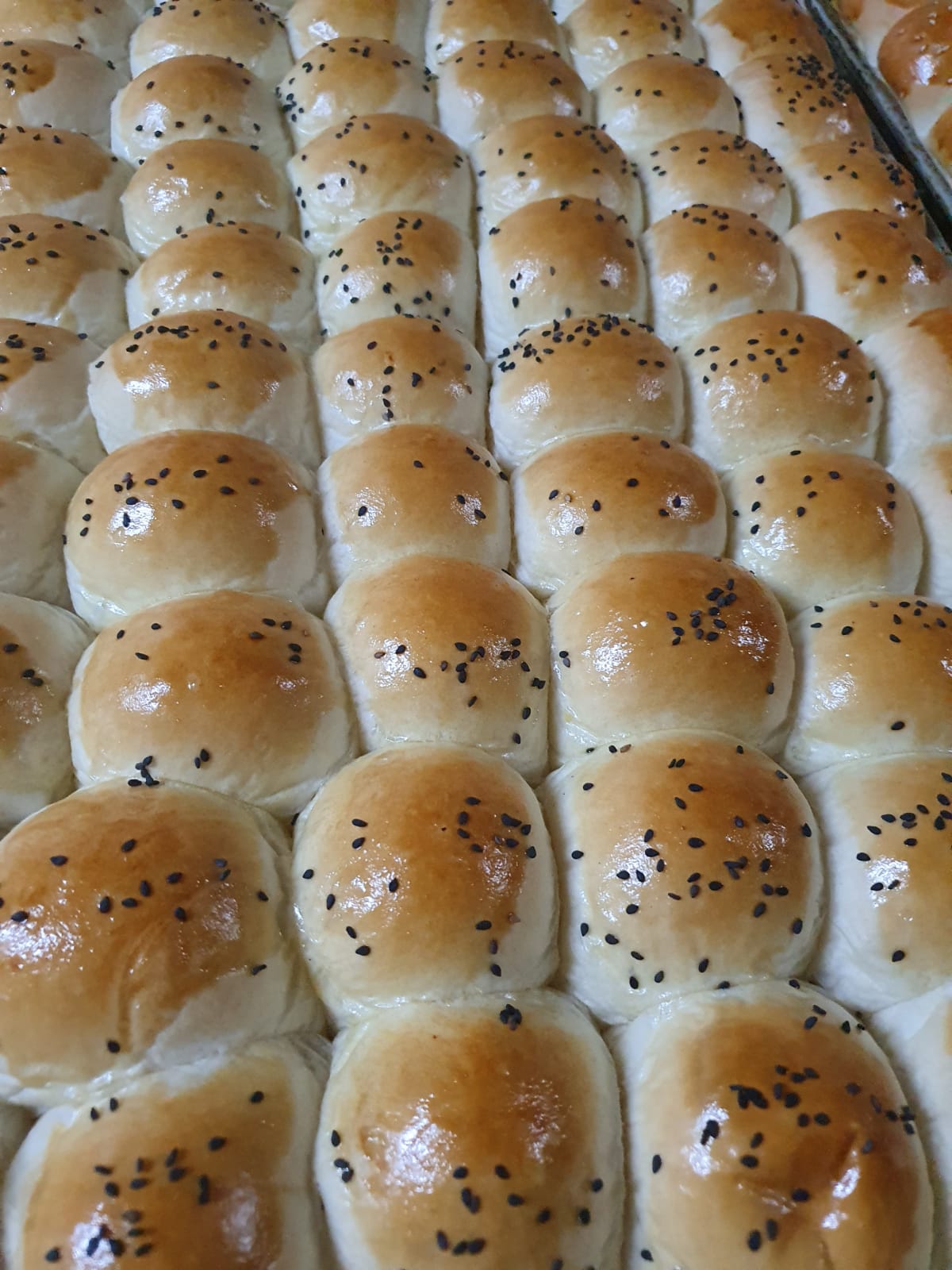 WhatsApp Image 2024-02-06 at 13.04.04